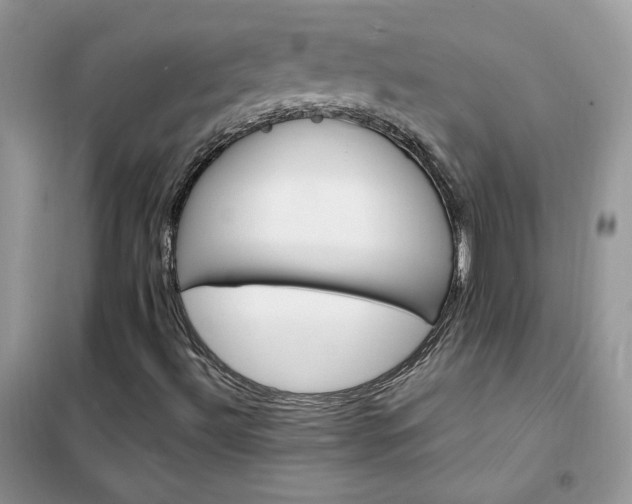 X0000102351492200808011152