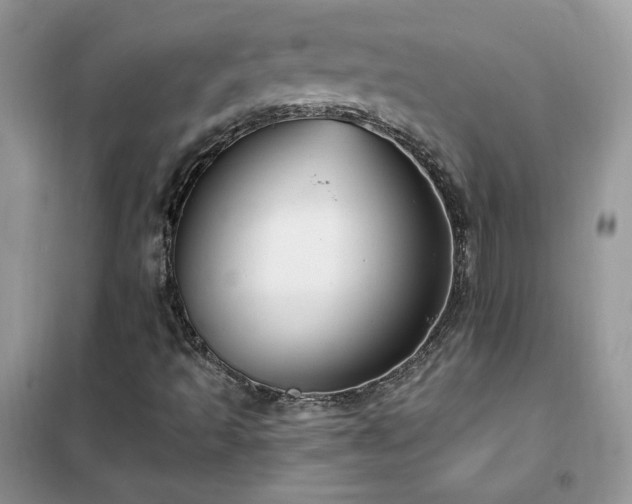 X0000102351493200808011152