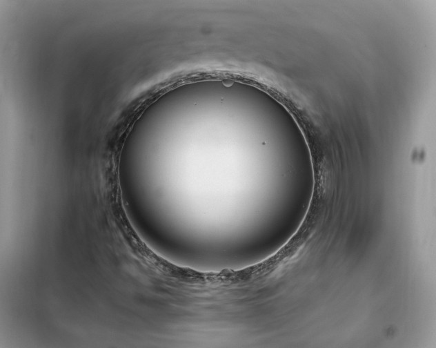 X0000102351494200808011152