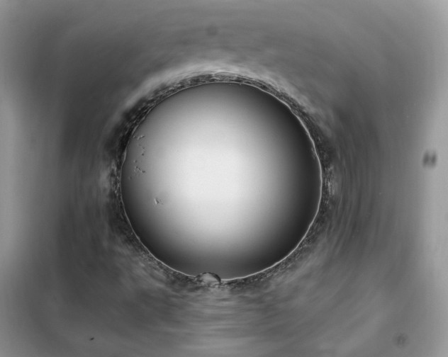 X0000102351495200808011152