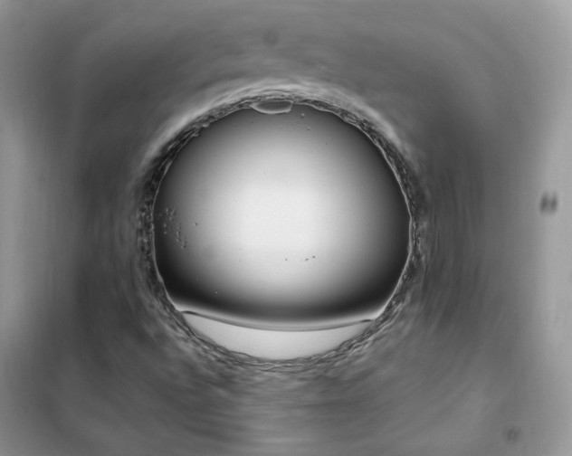 X0000102351496200808011152