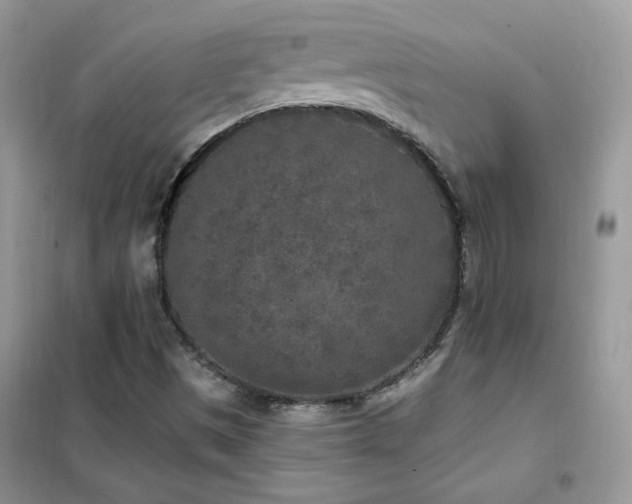 X0000102351497200808011152