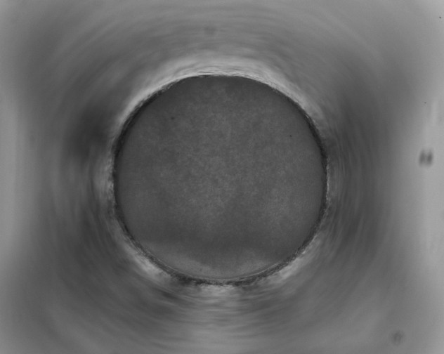 X0000102351498200808011152