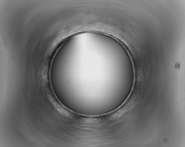 X0000102351499200808011152