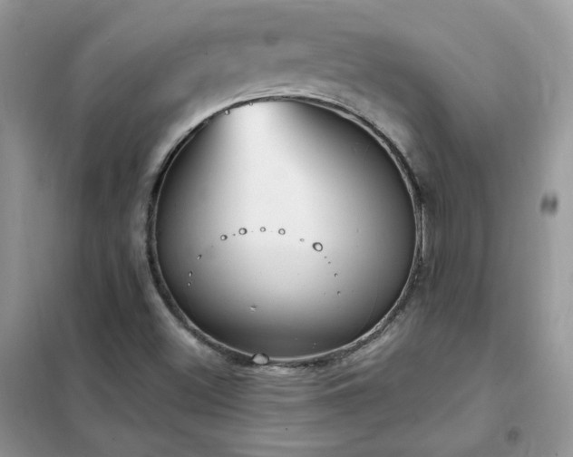 X0000102351500200808011152