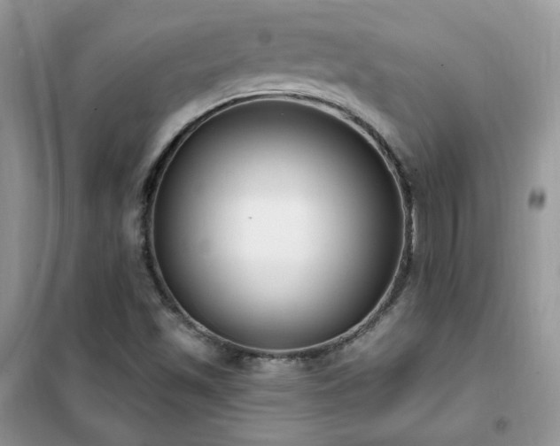 X0000102351501200808011152