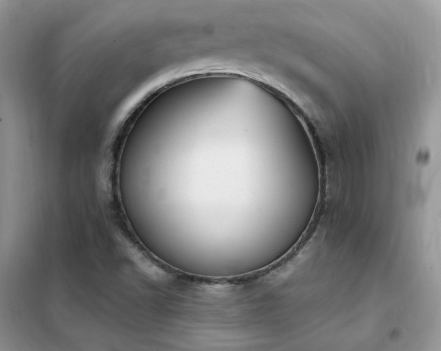 X0000102351502200808011152