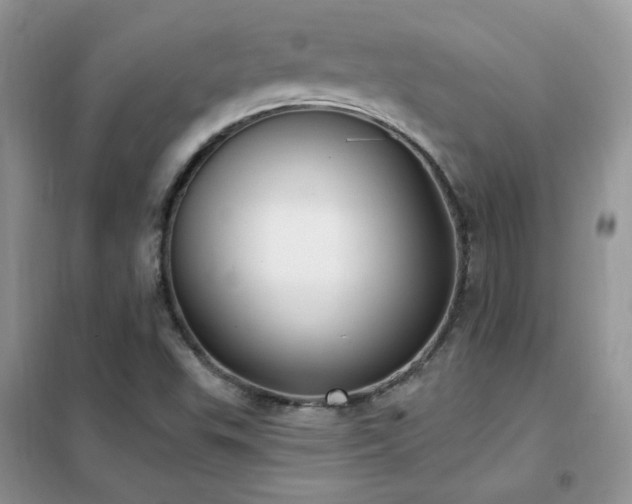 X0000102351503200808011152