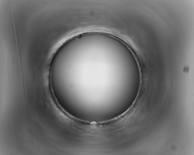 X0000102351504200808011152