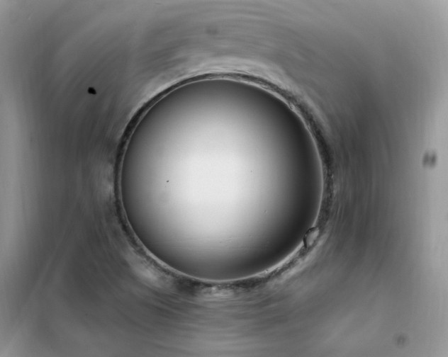 X0000102351505200808011152