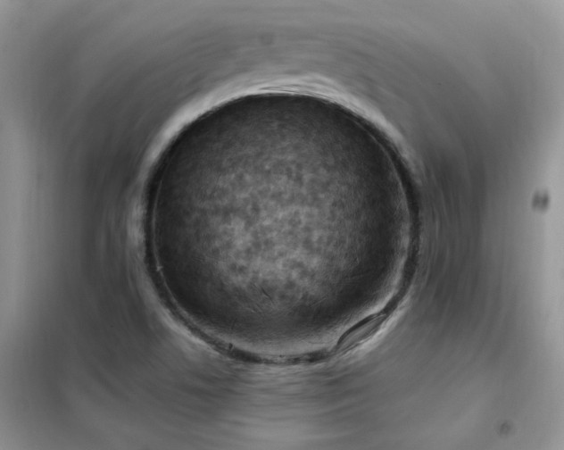 X0000102351506200808011152