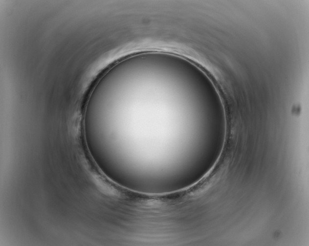 X0000102351507200808011152