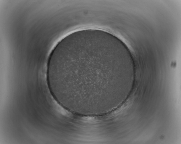 X0000102351508200808011152