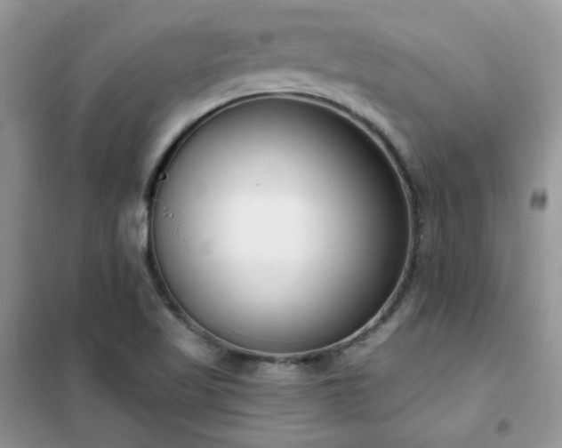 X0000102351509200808011152