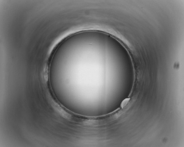 X0000102351510200808011152