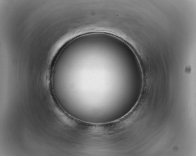 X0000102351511200808011152