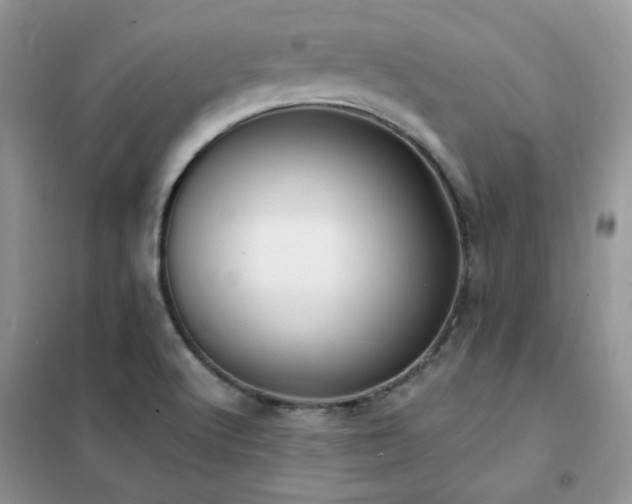 X0000102351512200808011152