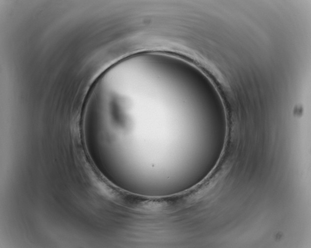 X0000102351513200808011152