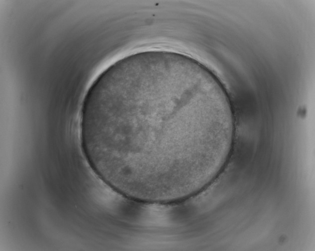 X0000102351514200808011152