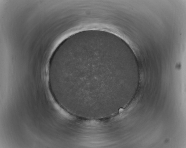 X0000102351515200808011152