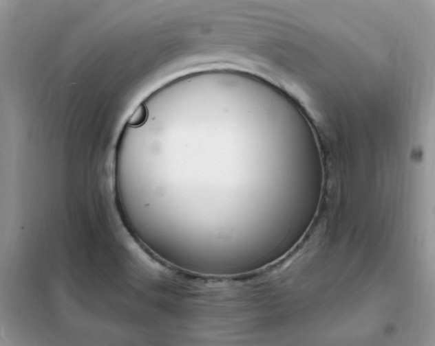 X0000102351516200808011152