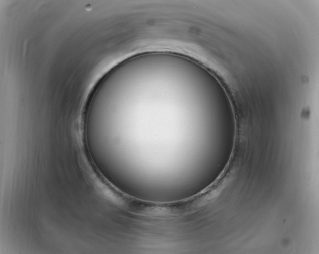 X0000102351517200808011152