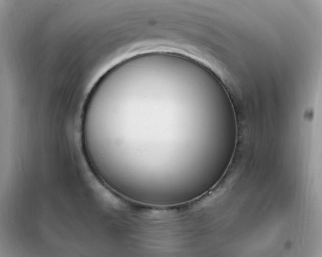 X0000102351518200808011152