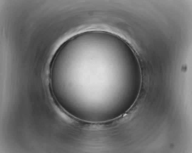 X0000102351519200808011152