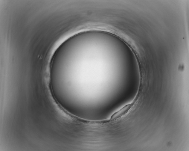 X0000102351520200808011152