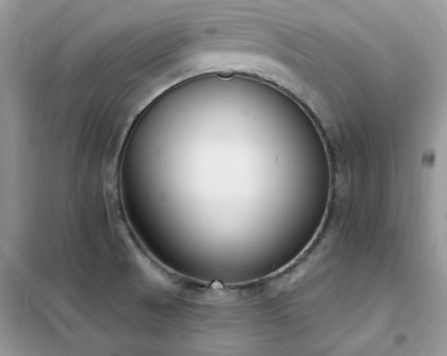 X0000102351521200808011152