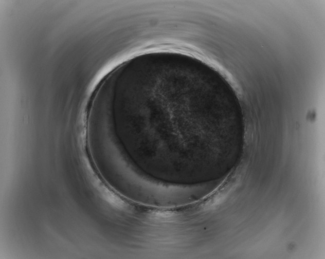 X0000102351522200808011152