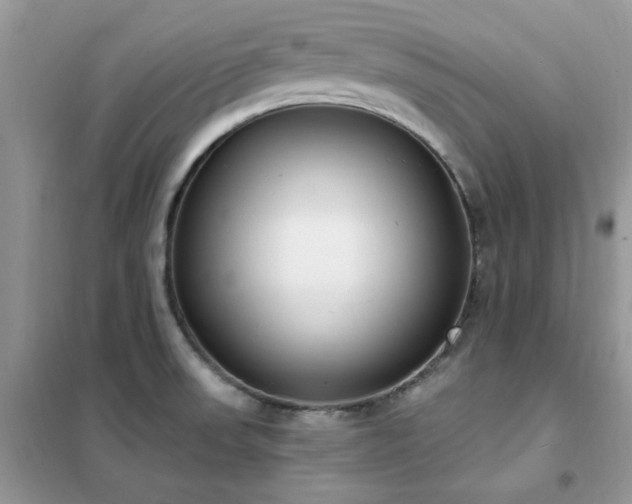 X0000102351523200808011152