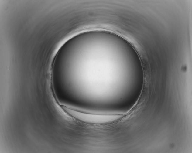 X0000102351524200808011152