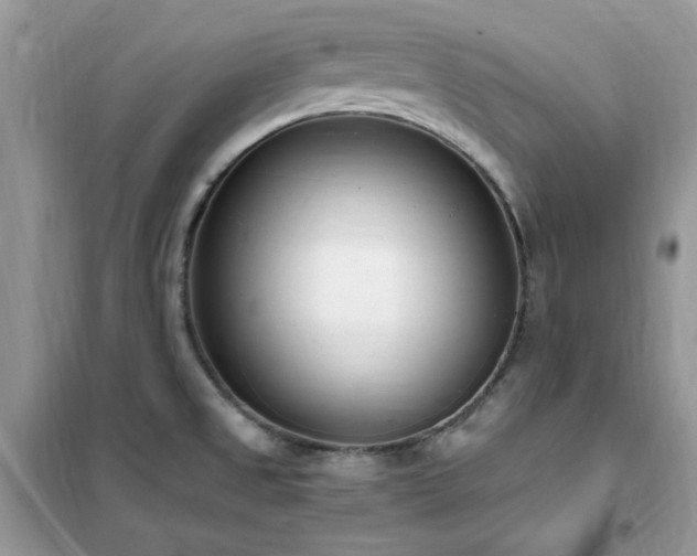 X0000102351525200808011152