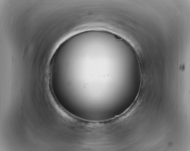 X0000102351526200808011152