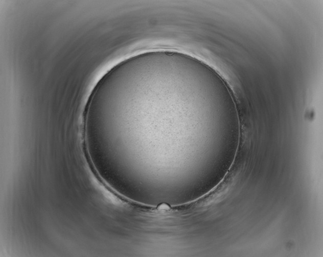 X0000102351527200808011152