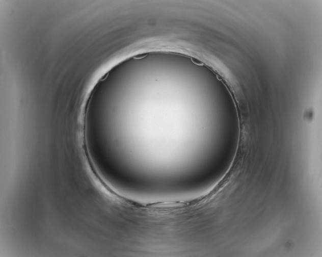 X0000102351528200808011152