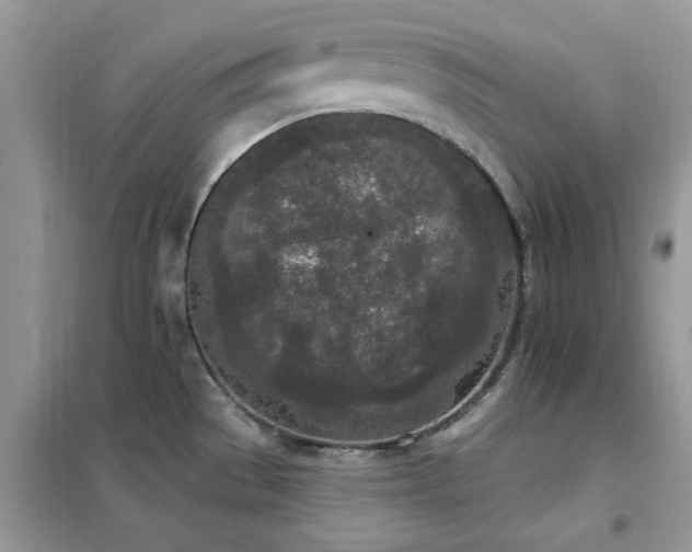 X0000102351529200808011152