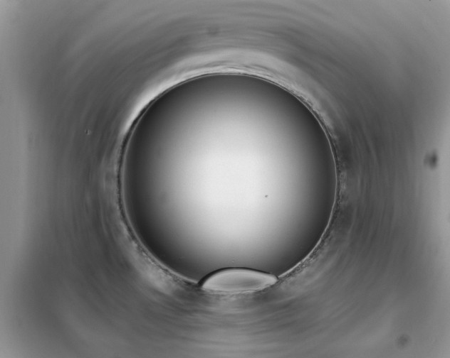 X0000102351530200808011152