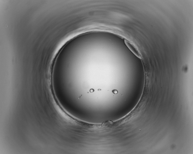 X0000102351531200808011152