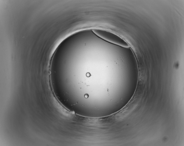 X0000102351532200808011152