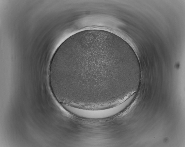 X0000102351533200808011152