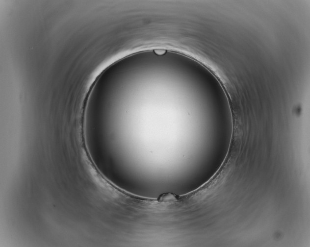 X0000102351534200808011152