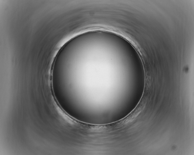 X0000102351535200808011152