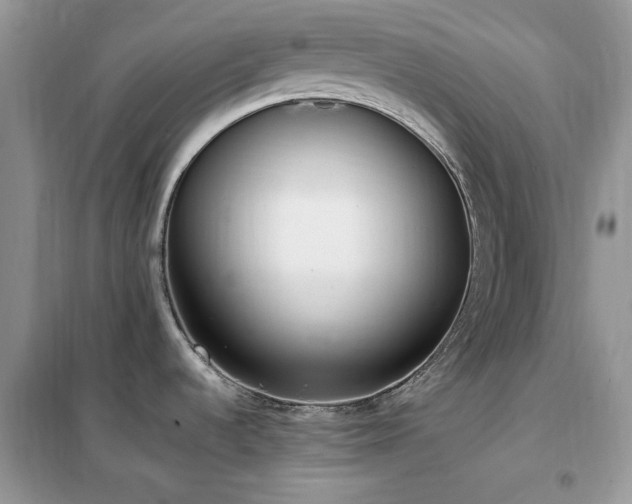 X0000102351536200808011152