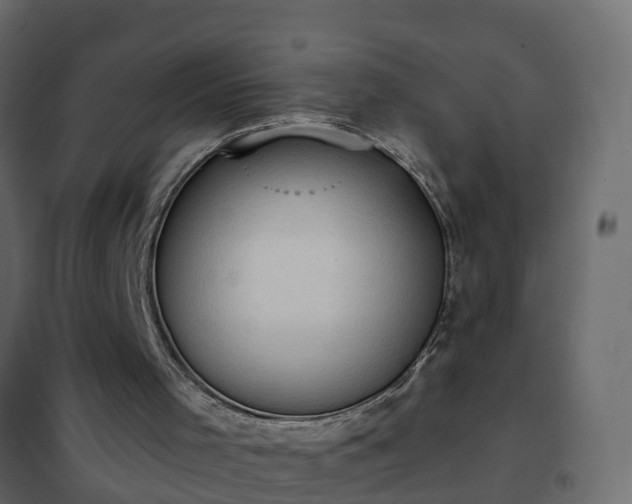 X0000102350001200808081205