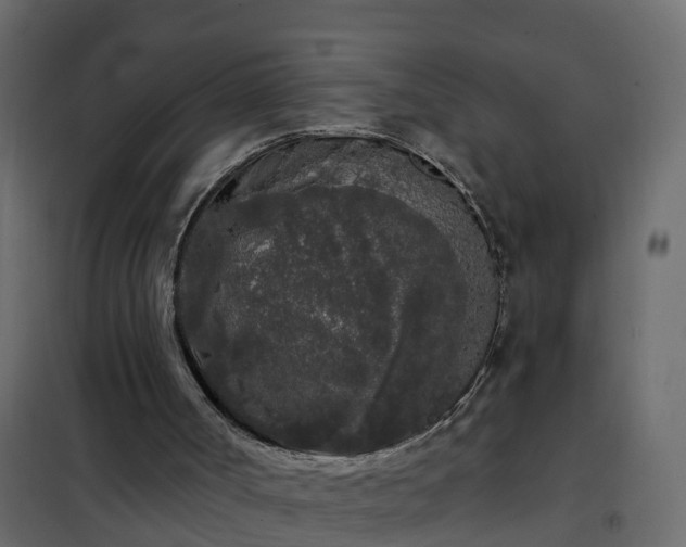 X0000102350002200808081205