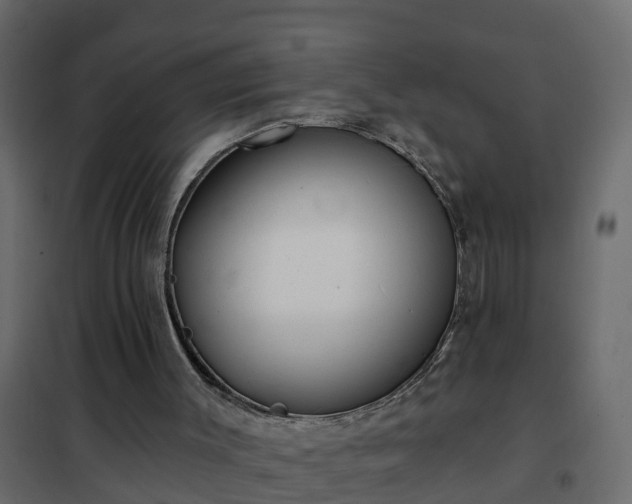 X0000102350003200808081205