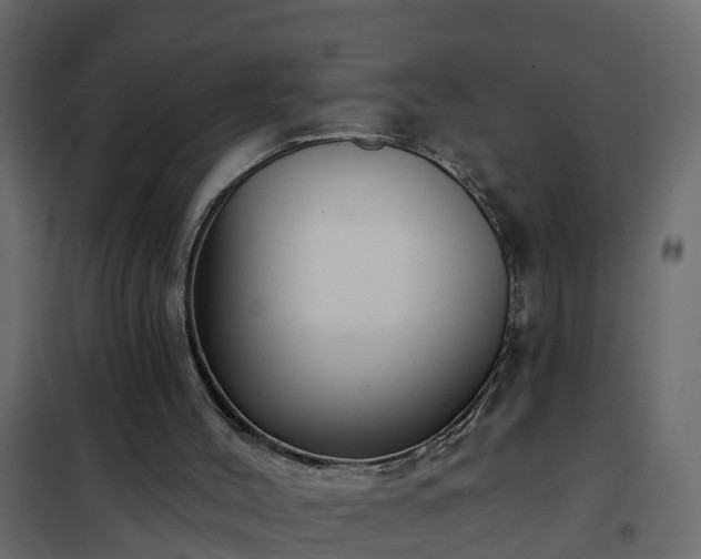 X0000102350004200808081205