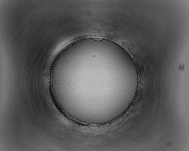 X0000102350005200808081205